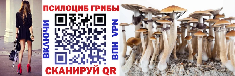 KRAKEN ссылки  Далматово  Галлюциногенные грибы MAGIC MUSHROOMS  где купить  